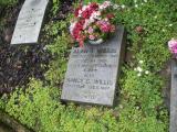 image of grave number 244417